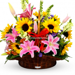 i1 Canasta Primaveral