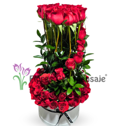 B2 Canción  (80 rosas)